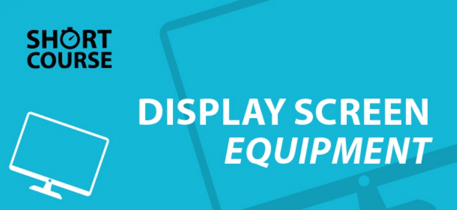 Display screen equipment e-learning short course 